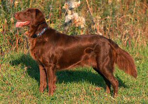 Snicker at 6 years