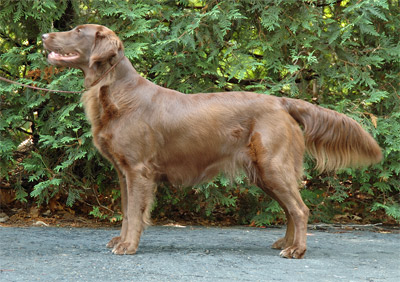 Sunday, July 3, 2005 - 38 Days