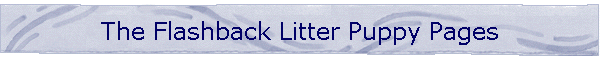 The Flashback Litter Puppy Pages